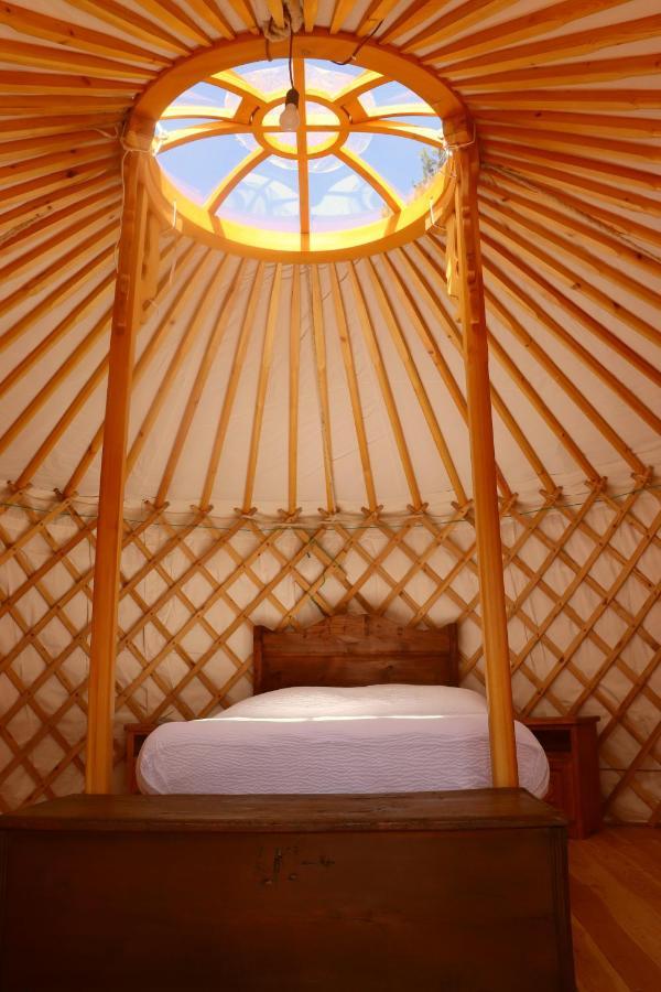 Glamping La Cascina D'orleans Luxury tent *